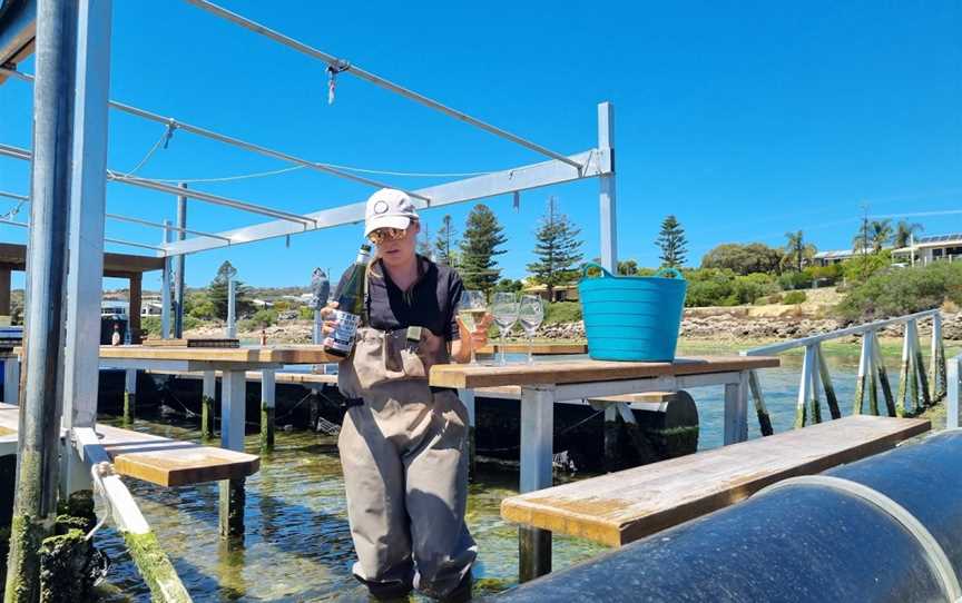 Oyster Farm Tours - Coffin Bay, Coffin Bay, SA