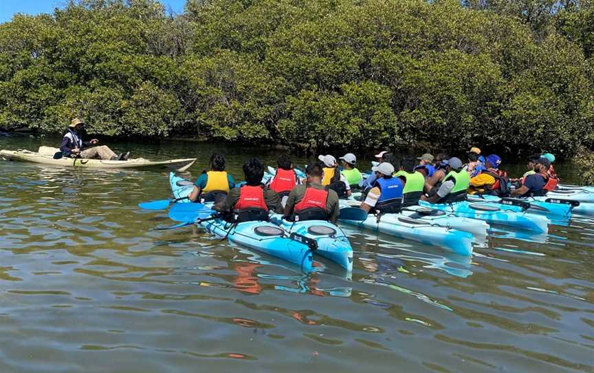 Dolphin Sanctuary Kayak Tours, Port Adelaide, SA