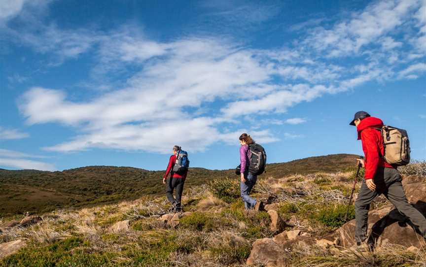 Bruny Island Guided Walks, South Bruny, TAS