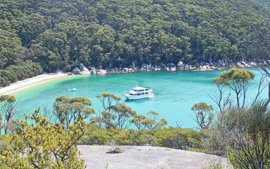 Wildlife Coast Cruises - Wilsons Promontory, Port Welshpool, VIC