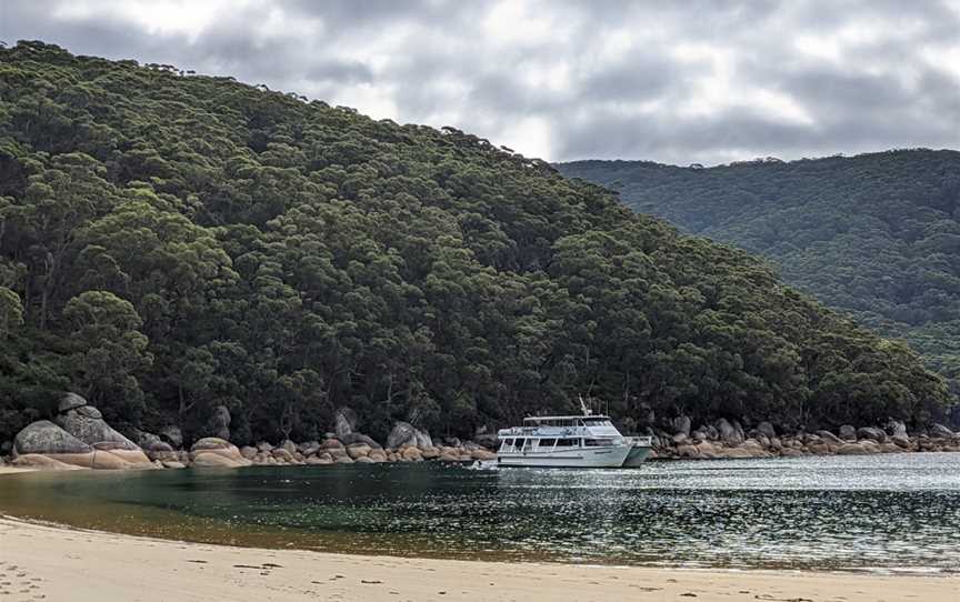 Wildlife Coast Cruises - Wilsons Promontory, Port Welshpool, VIC