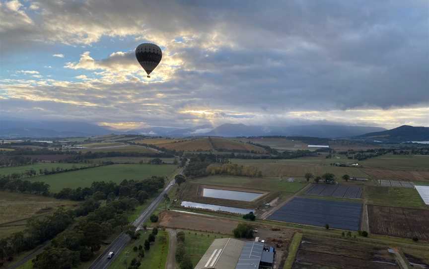 Go Wild Ballooning, Yering, VIC