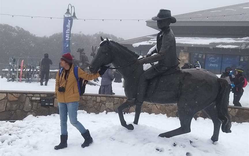 Mt Buller Tours, Williams Landing, VIC