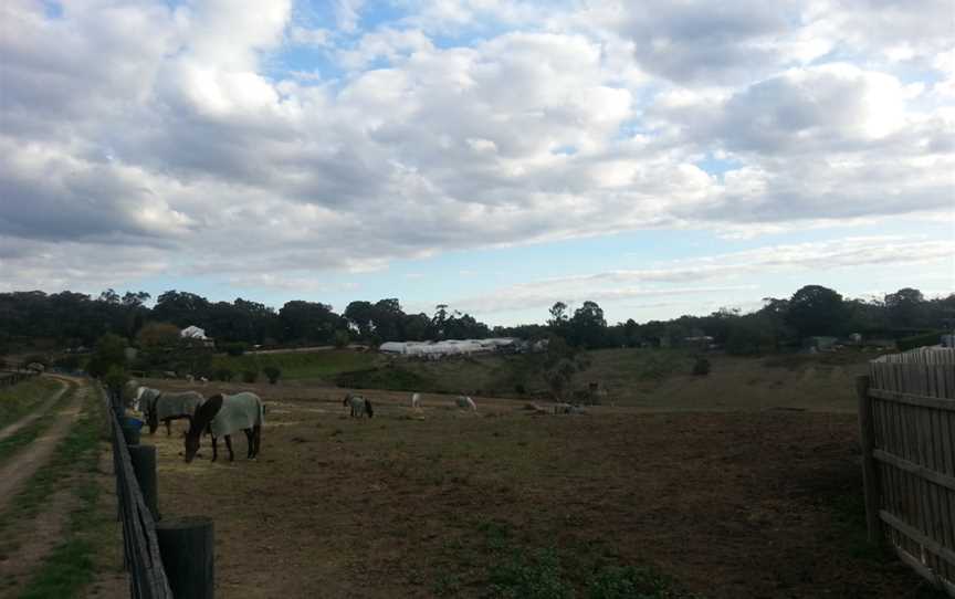 Tandivale Equestrian Centre & Pony Club, Warrandyte, VIC