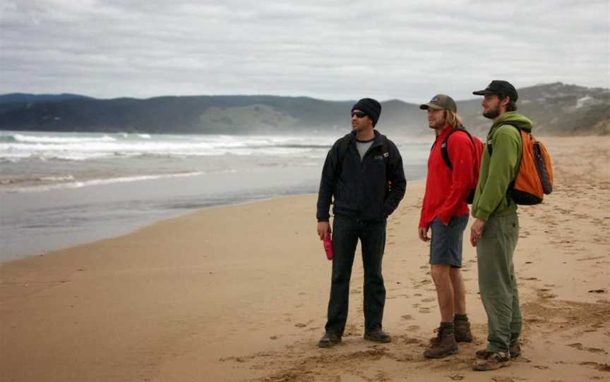 Surf Coast Walks, Anglesea, VIC