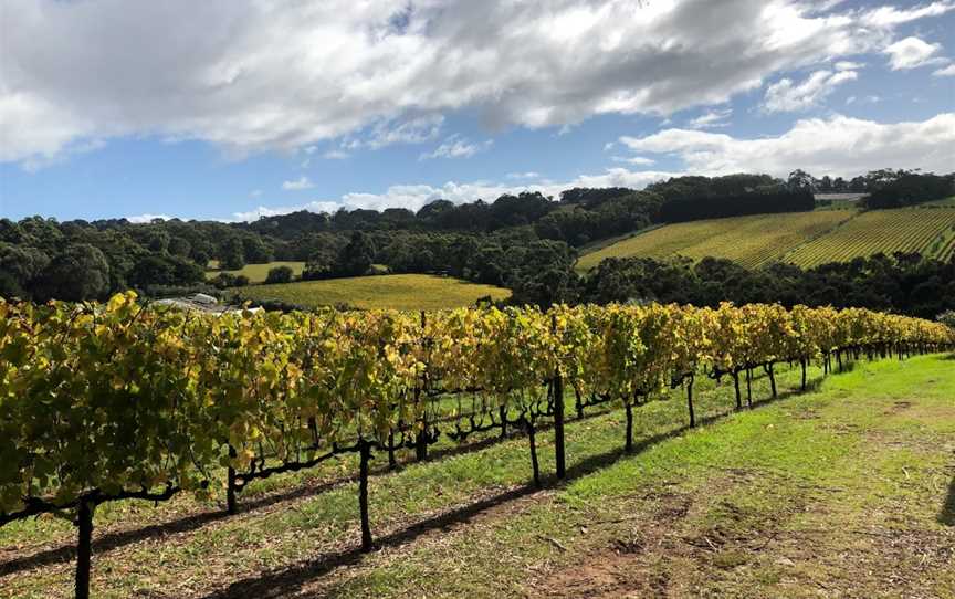 Amour Of The Grape Tours, Rosebud, VIC