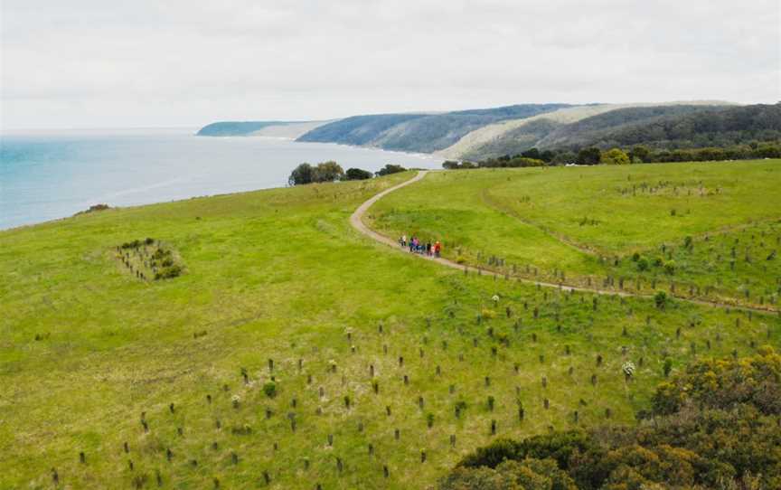 Wildlife Wonders, Apollo Bay, VIC