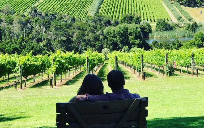 Mornington Peninsula Winery Tours and Transport, Capel Sound, VIC