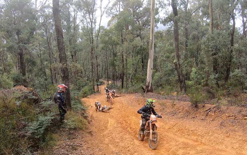 All In Dirtbike Adventures, Alexandra, VIC