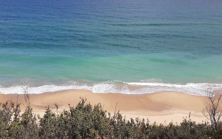 Watch Out For Whales, Lake Tyers Beach, VIC