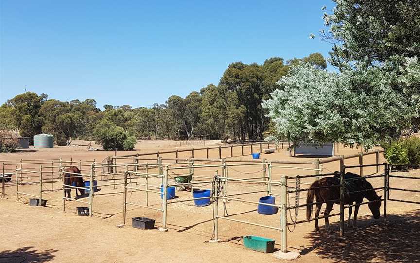 Forge Farm Riding School, Chidlow, WA