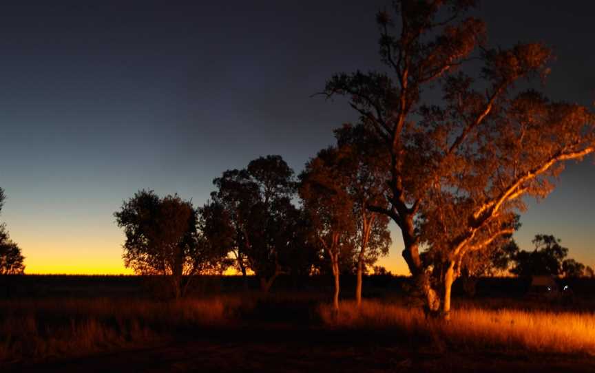 Otto Tours Australia, Gosnells, WA