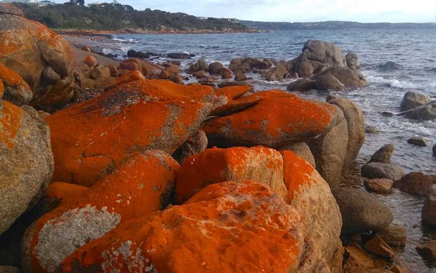 Kimberella Walking Tours, Coffin Bay, SA