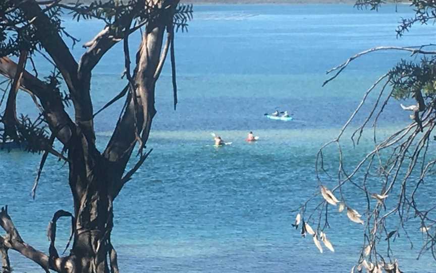 Kimberella Walking Tours, Coffin Bay, SA