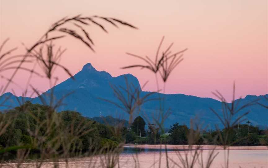 Tweed River Eco Tours, Tweed Heads, NSW