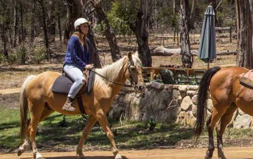 Spring Creek Horse Rides, Bellbrae, VIC