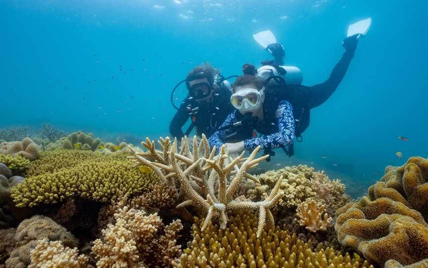 Refresher Diving Course on Fitzroy Island, Fitzroy Island, QLD