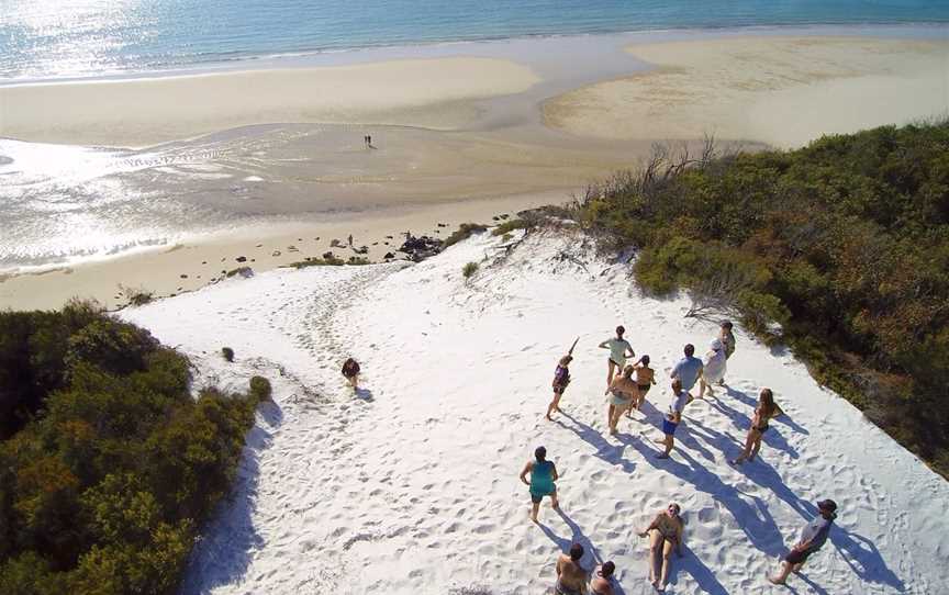 Remote Fraser Island and Whale Experience - Tasman Venture, Hervey Bay, QLD