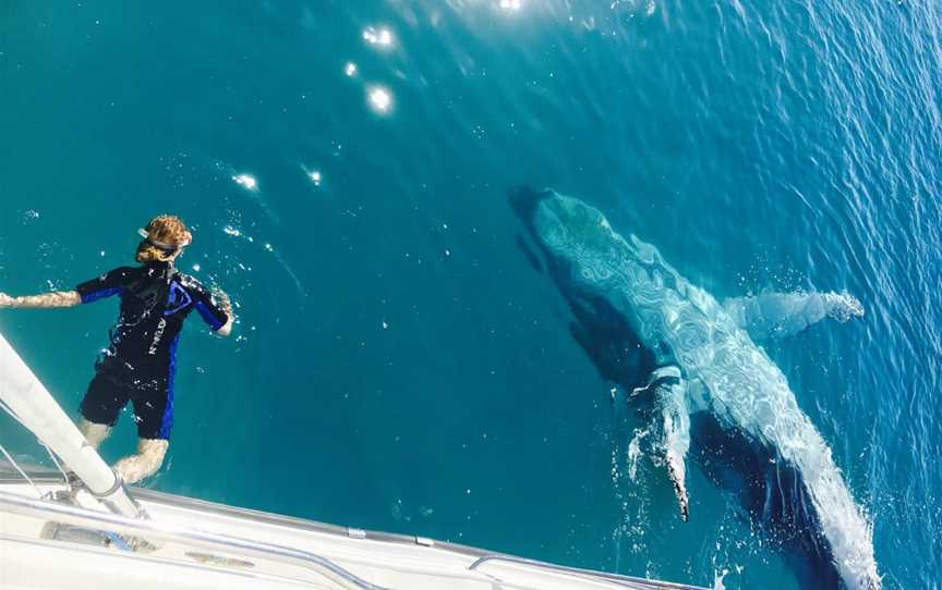 Remote Fraser Island and Whale Experience - Tasman Venture, Hervey Bay, QLD