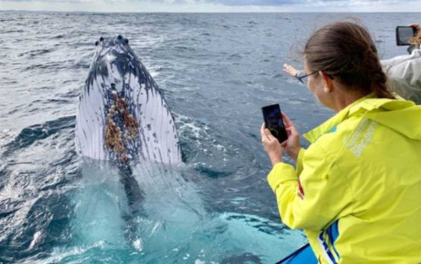 Aqua Adventures, Southport, QLD