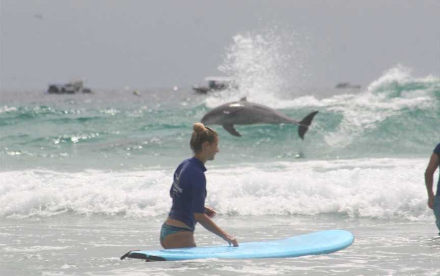 Australian Surfing Adventures, Miami, QLD