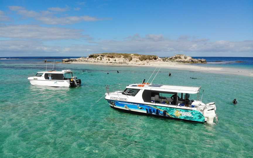 Turquoise Safaris, Jurien Bay, WA