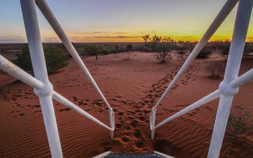 Arid Recovery Sunset Tour, Roxby Downs, SA