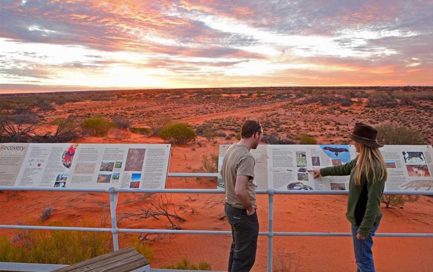 Arid Recovery Sunset Tour, Roxby Downs, SA