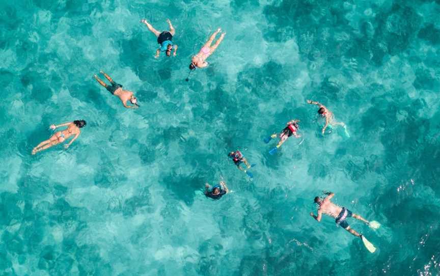 Beach Snorkel Tour Beginners on Fitzroy Island, Fitzroy Island, QLD