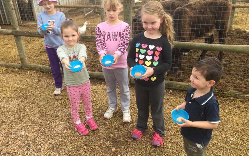 Tarnasey Farm Little Farmer Tours, Wallaroo, SA