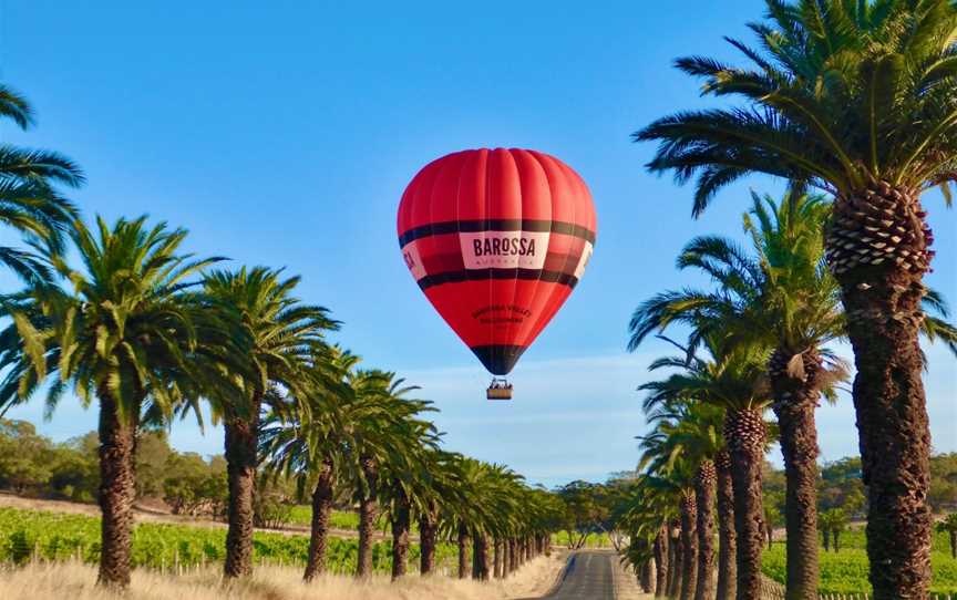 Barossa Valley Ballooning, Seppeltsfield, SA