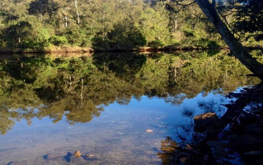 Unkya Local Aboriginal Land Council Cultural Eco Tours, Macksville, NSW