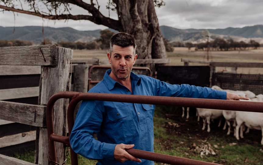 Wallinga Farm Tour - Mudgee, Spring Flat, NSW