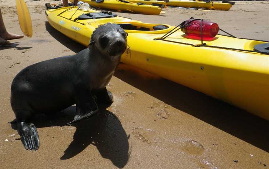 Pioneer Kayaking, Newhaven, VIC