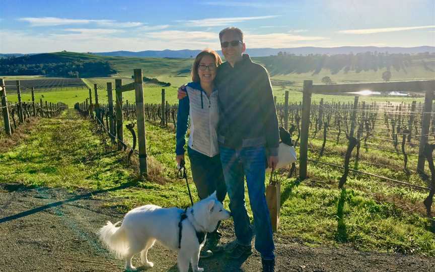 Pooches and Pinot Wine Tours, Healesville, VIC