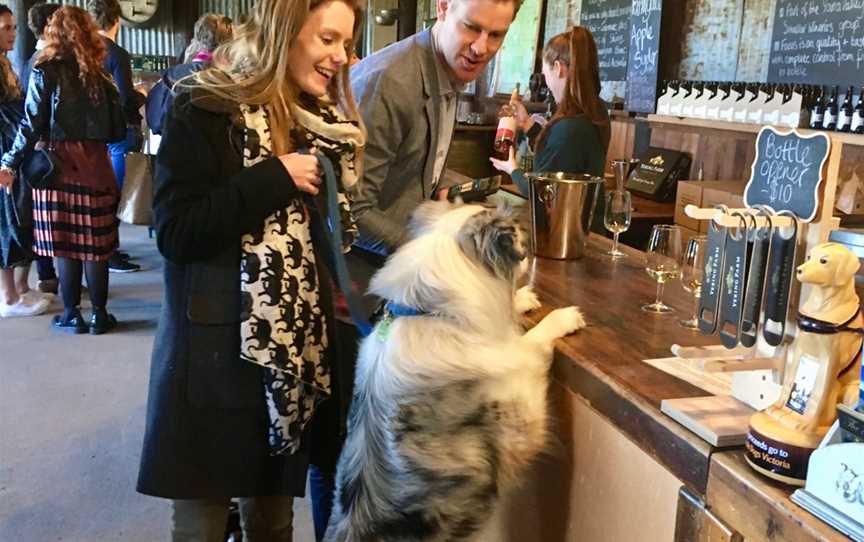 Pooches and Pinot Wine Tours, Healesville, VIC