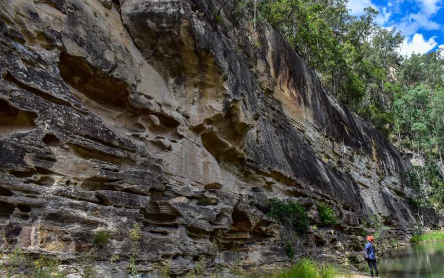 Central Queensland Nature Tours, Carnarvon Gorge, QLD