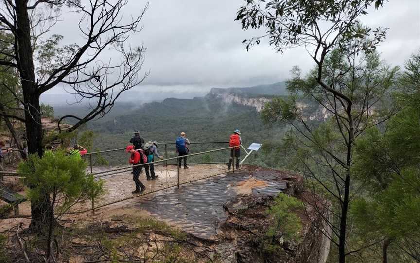 Central Queensland Nature Tours, Carnarvon Gorge, QLD