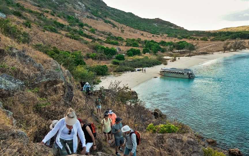 Coral Expeditions | Great Barrier Reef, Bungalow, QLD