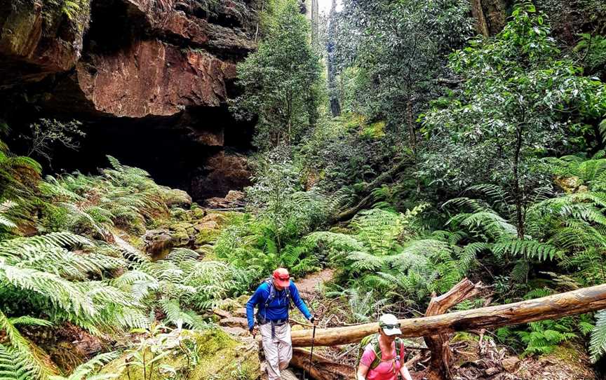 Great Blue Mountains Traverse - Life's An Adventure, Circular Quay, NSW