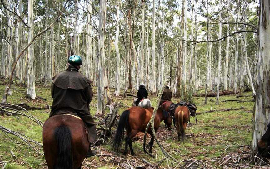 Reynella Rides, Adaminaby, NSW