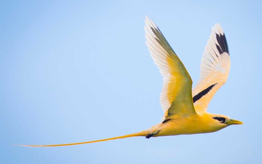 Chris Bray Photography Christmas Island Tour, Christmas Island, WA