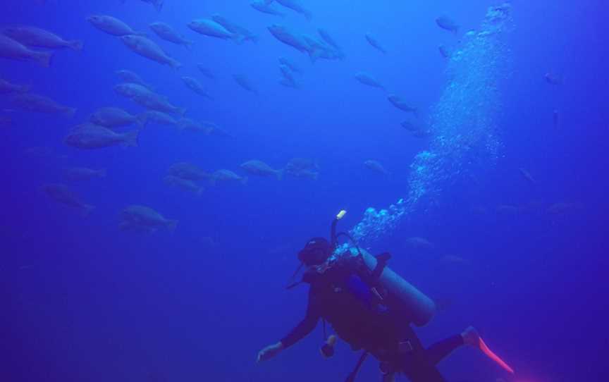 Pleasure Divers Magnetic Island, Magnetic Island, QLD