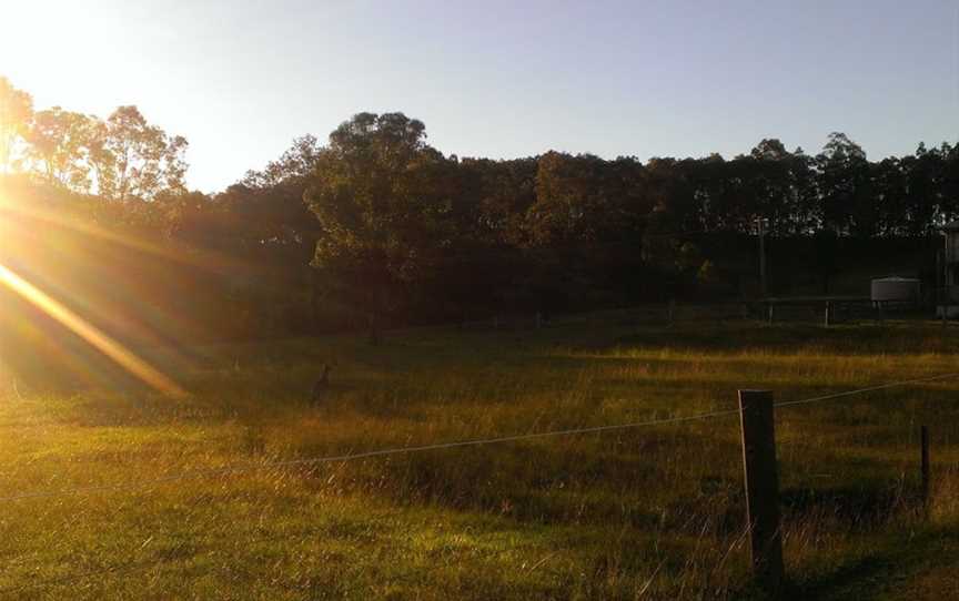 Hunter Valley Horse Riding and Adventures, Lovedale, NSW