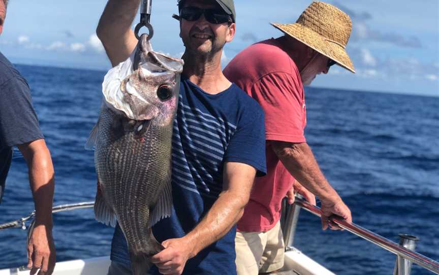 Cushy Fishing Charters - Tweed Heads, Tweed Heads, NSW