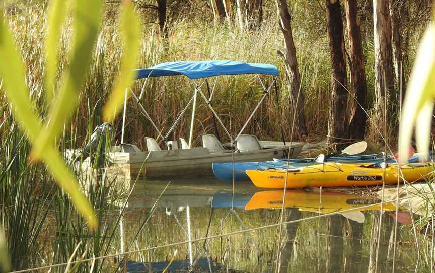 Canoe the Riverland - Dinghy Cruises, Renmark, SA