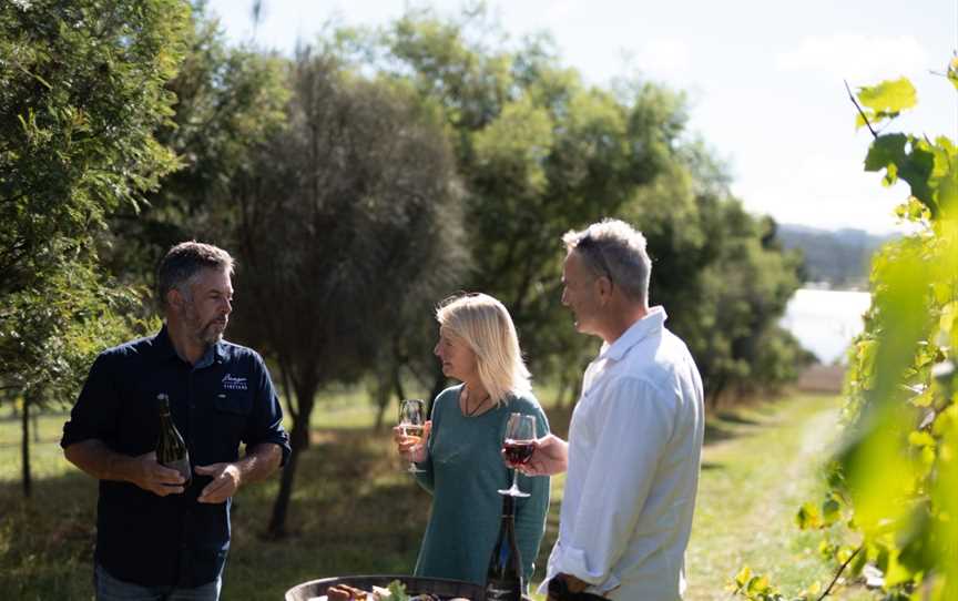 Wine in the Vines - Bangor Vineyard Tour, Dunalley, TAS