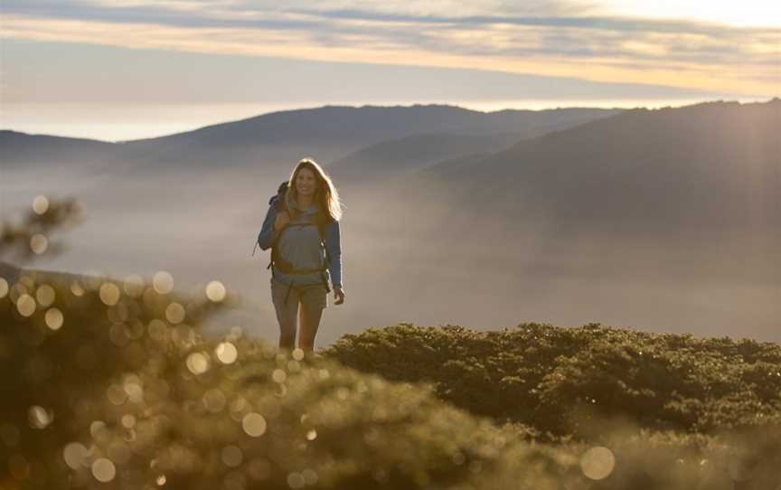 Thredbo Guided Hikes, Thredbo, NSW