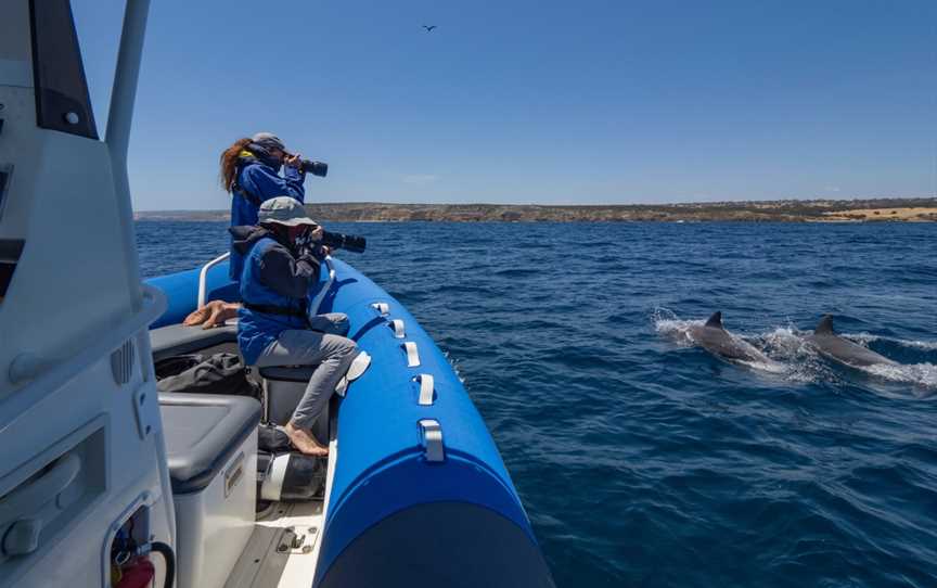 Research and Discovery Coastal Tours, Kangaroo Island, Stokes Bay, SA