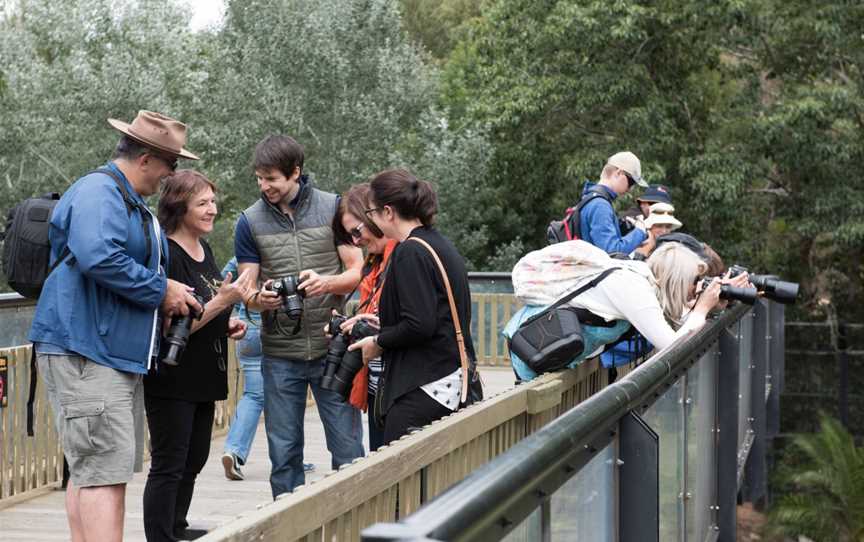 Capture Canberra Photography Tours, Tours in PHILLIP